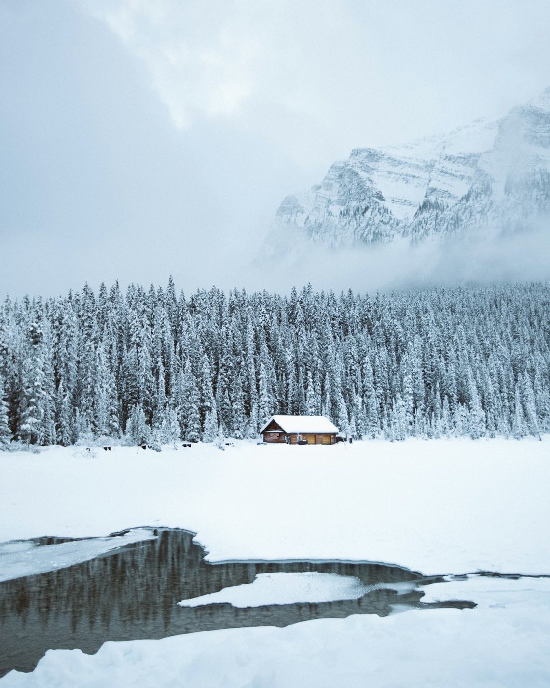 Log cabin at treeline below a fog-wrapped rock face