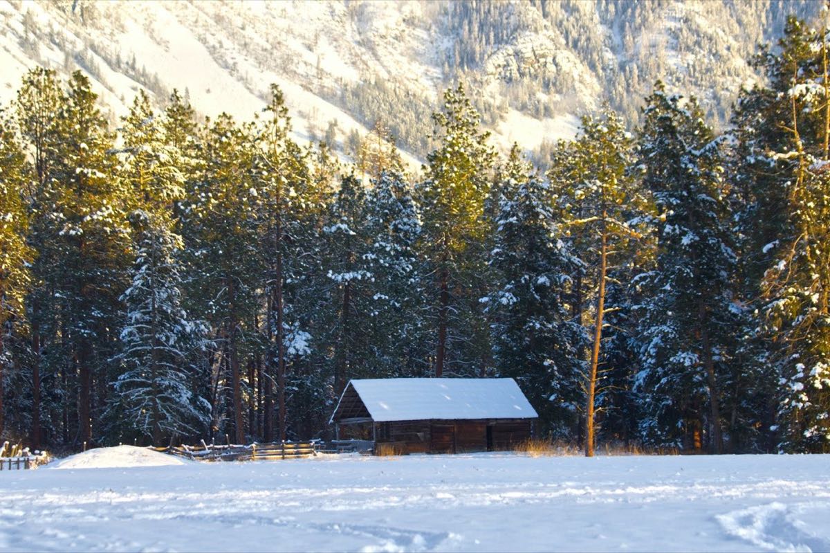 Low log cabin in a snowy clearing lit by late-day sun