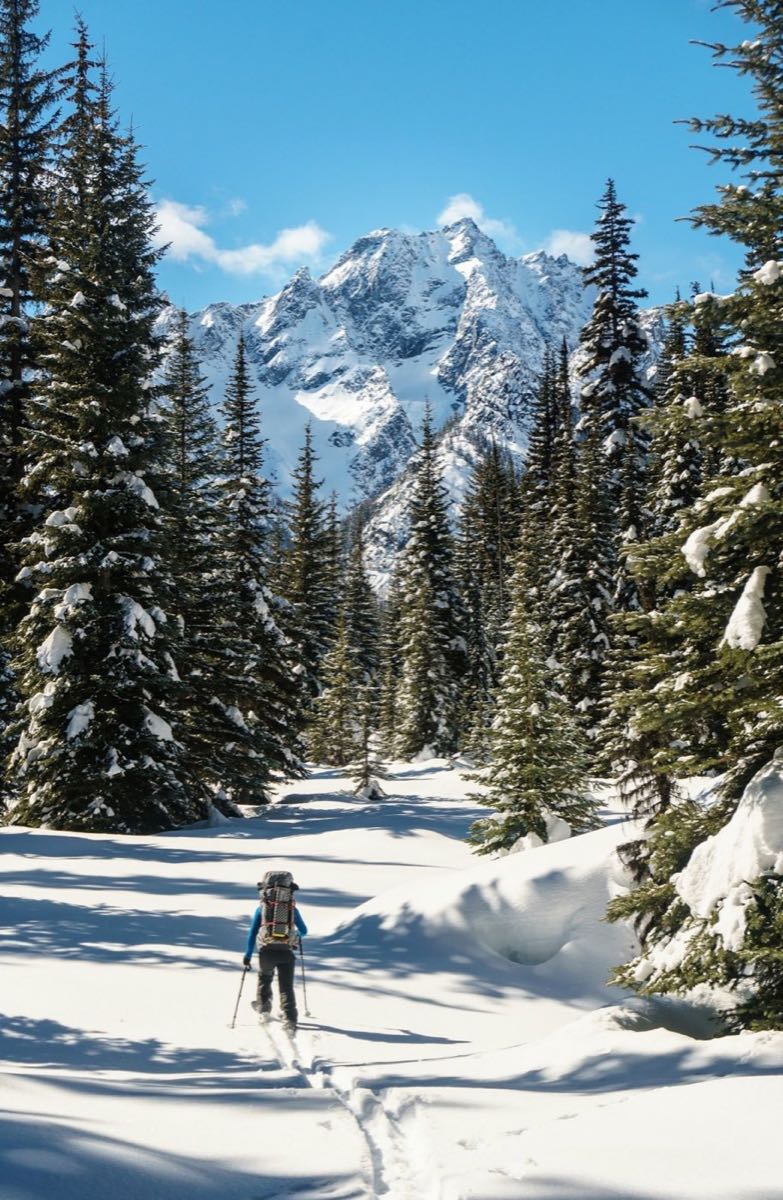 A skier with a full pack breaks trail through snowy subalpine forest beneath a craggy peak