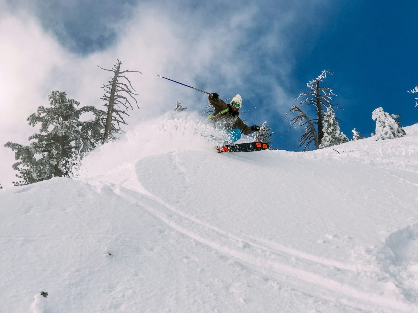 Skier throwing a deep powder turn among snow-ghosted subalpine trees